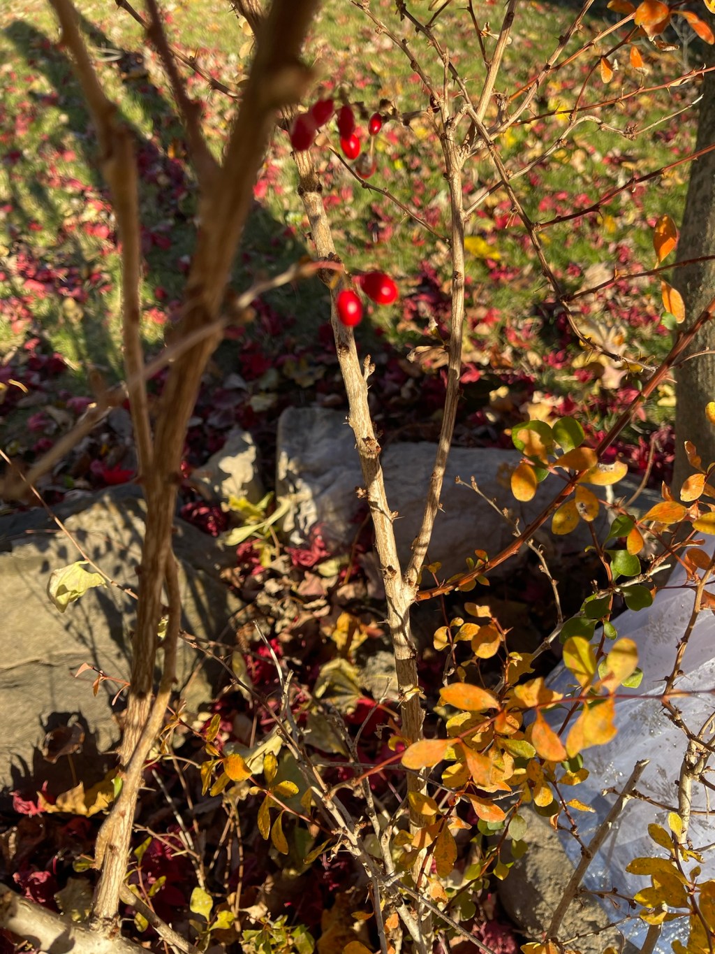 It’s Been a&nbsp;While…